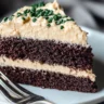 A sliced Chocolate Guinness Cake with Baileys Buttercream Frosting, showing its moist texture, placed on a wooden board with Guinness nearby.
